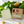 Cool Chimp Fresh Citrus & Basil soap bar — lifestyle shot